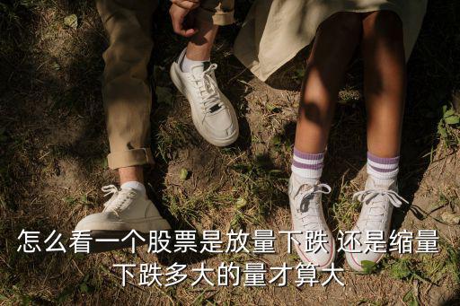 怎么看一个股票是放量下跌 还是缩量下跌多大的量才算大