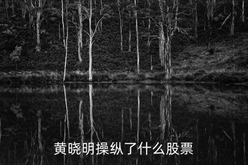 黄晓明为什么会有股票，黄晓明操纵股票是真的吗