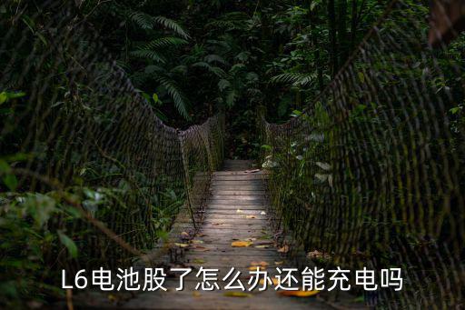 L6电池股了怎么办还能充电吗