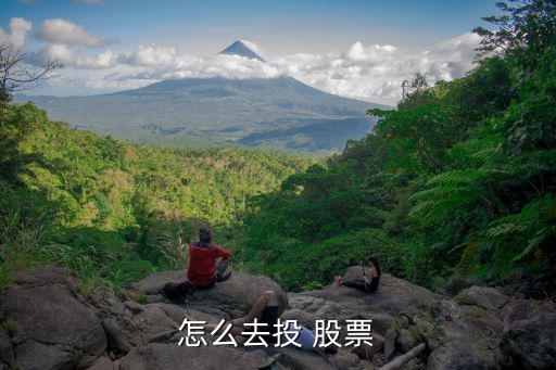怎么去投 股票