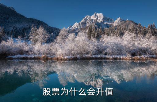 股票为什么会升值