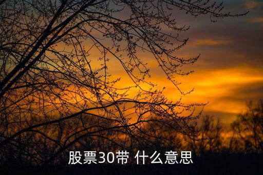 股票30带 什么意思