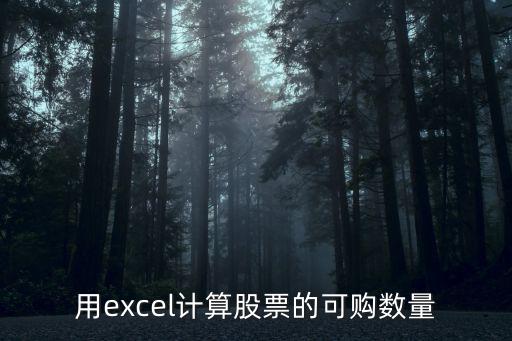 用excel计算股票的可购数量