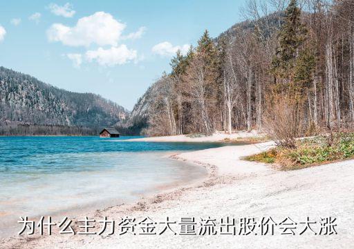 为什么主力资金大量流出股价会大涨