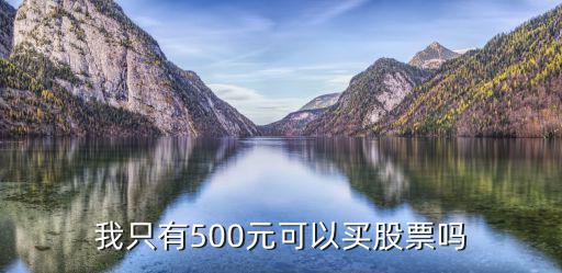 我只有500元可以买股票吗