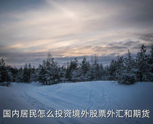 国内居民怎么投资境外股票外汇和期货