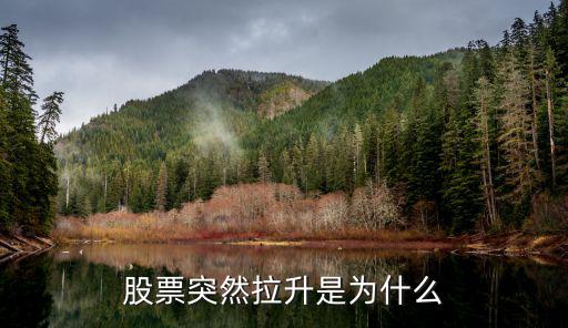 股票突然拉升是为什么