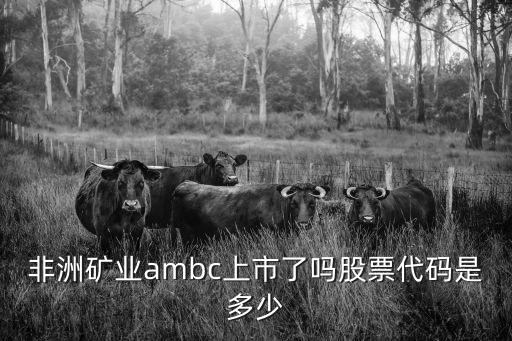 非洲矿业ambc上市了吗股票代码是多少