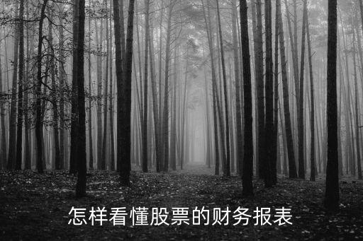 怎样看懂股票的财务报表
