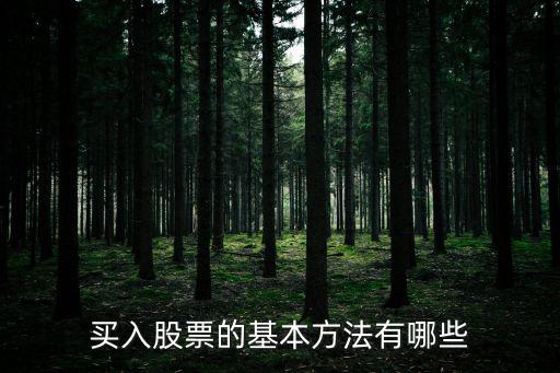 买入股票的基本方法有哪些
