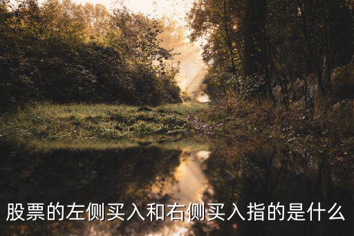 股票左侧交易注意什么标志，股票交易中的左侧交易和右侧交易是什么各有什么意义