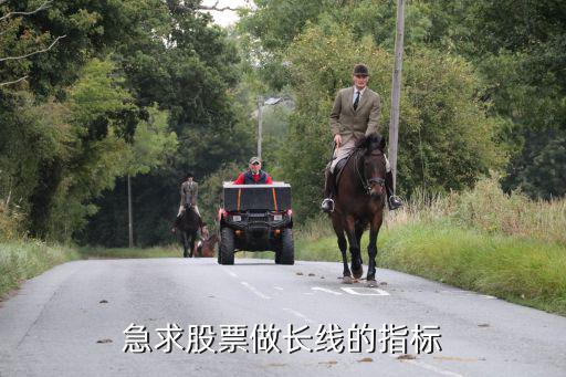 股票长线看什么趋势指标，急求股票做长线的指标