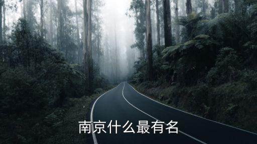 南京什么最有名