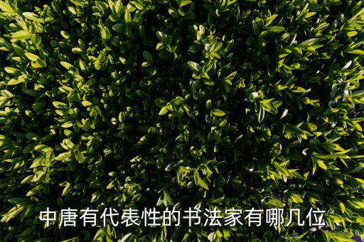 品高股份是什么股票，广州市品高软件股份有限公司怎么样
