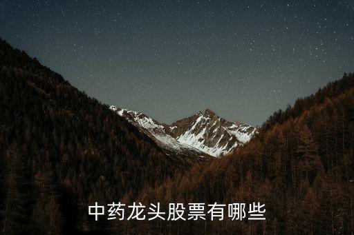 中药龙头股票有哪些