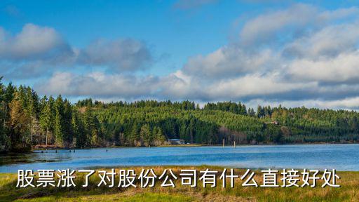 股票涨了对股份公司有什么直接好处