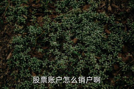股票账户怎么销户啊