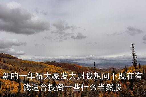 新的一年祝大家发大财我想问下现在有钱适合投资一些什么当然股