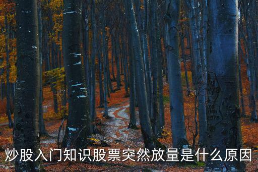 炒股入门知识股票突然放量是什么原因