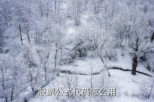 股票公式代码怎么用