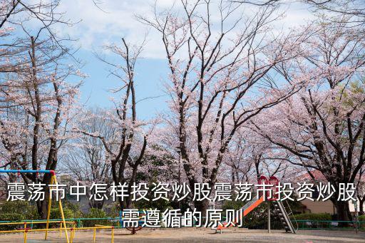 震荡市中怎样投资炒股震荡市投资炒股需遵循的原则