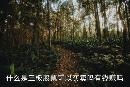 什么是三板股票可以买卖吗有钱赚吗