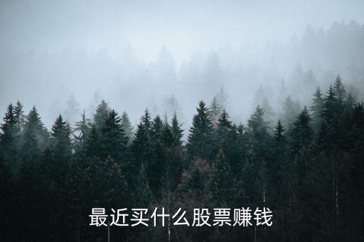 买什么股票发大财了，最近买什么股票赚钱
