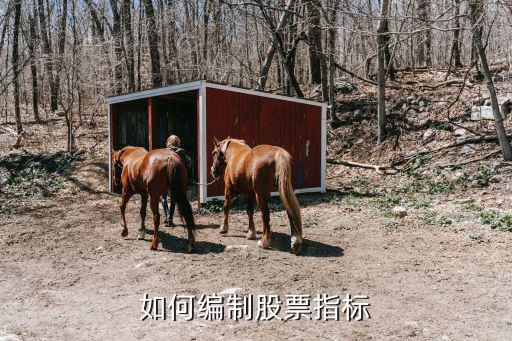 股票指标怎么编译，如何编制股票指标