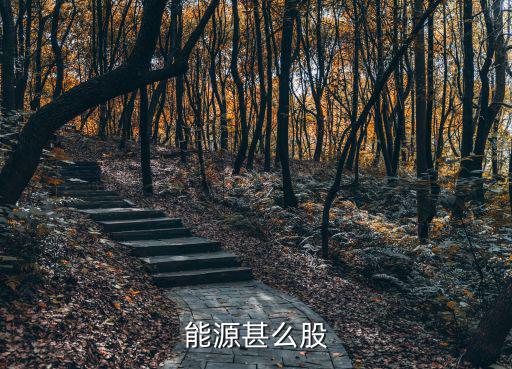 宁波能源属于什么股票类型，600222是支什么股票