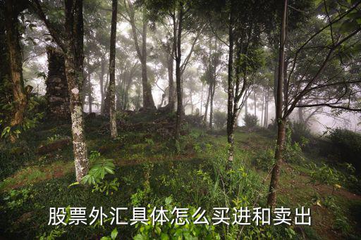 股票外汇具体怎么买进和卖出