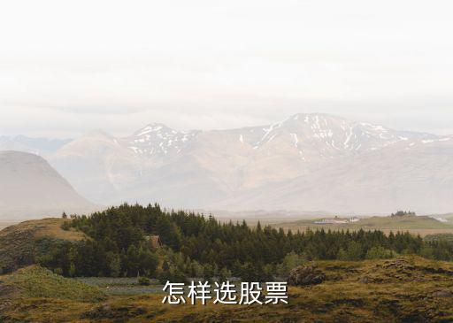 怎样选股票