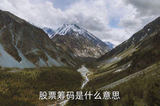 股票中的筹码什么作用，股票筹码是什么意思