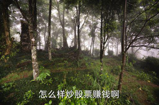 怎么样炒股票赚钱啊