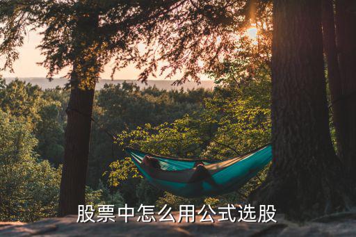 股票中怎么用公式选股