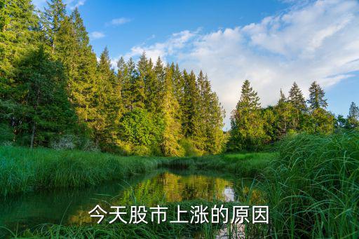 今天股市上涨的原因