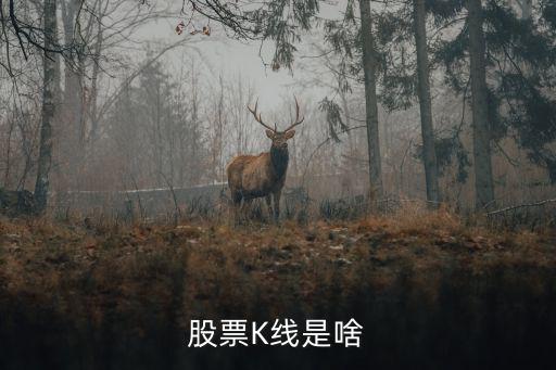 股票K线是啥