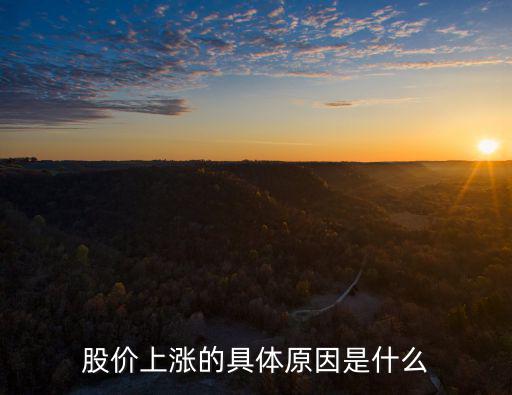股价上涨的具体原因是什么
