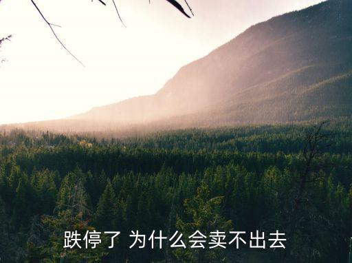 退市股票为什么卖不出，退市长油退市交易日怎么卖不出