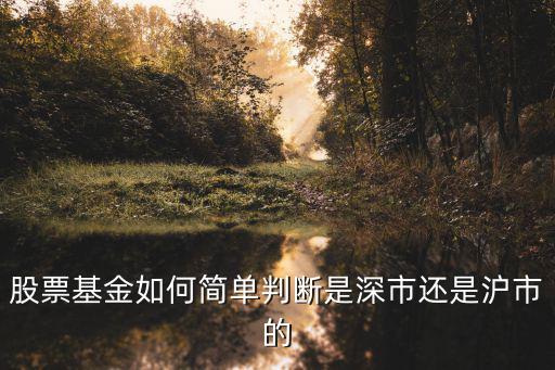 股票基金如何简单判断是深市还是沪市的