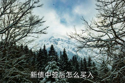 新债中签后怎么买入