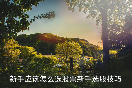 不涨个股怎么选股票，怎么选择股票