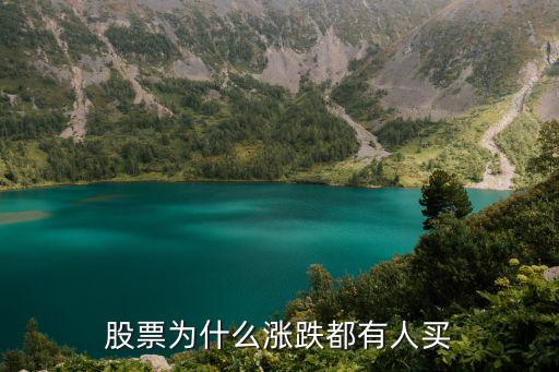 股票为什么涨跌都有人买