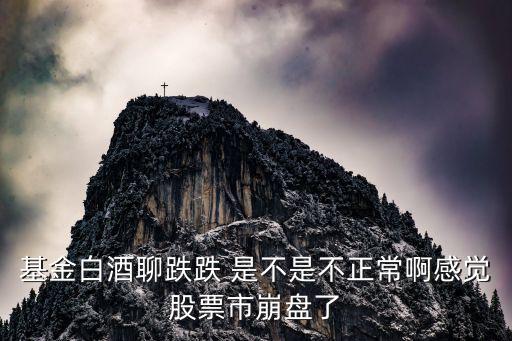 为什么茅台股票会跌停，茅台股价整整跌掉100元 股民热议哪儿是底wwwcdjlgccom