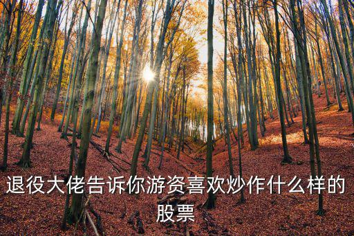 退役大佬告诉你游资喜欢炒作什么样的股票