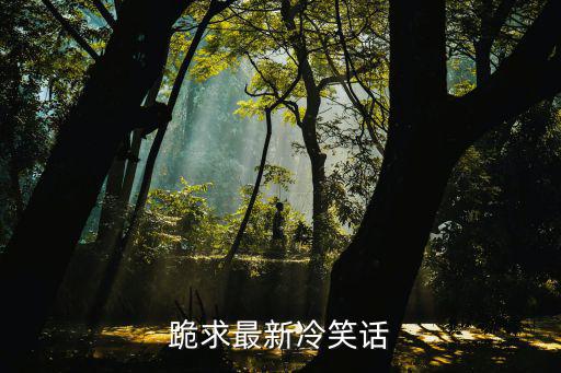 股票tnnd是什么意思，想买基金不知哪只好