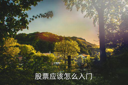 股票入门怎么学，新手怎样学习炒股入门知识