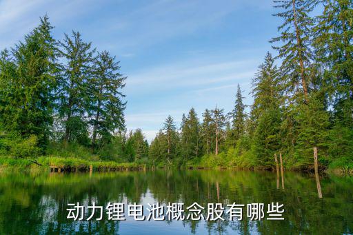 动力锂电池概念股有哪些