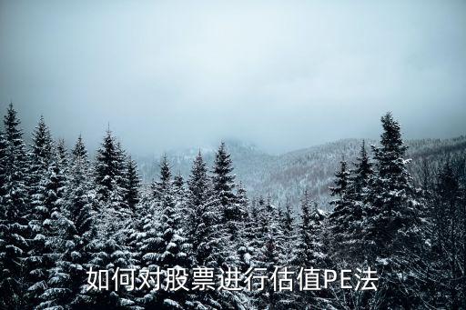 如何对股票进行估值PE法