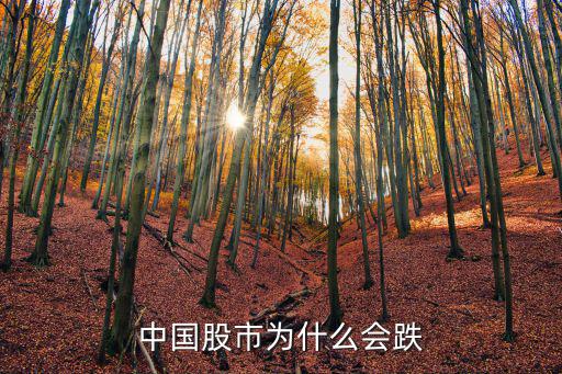 中国股市为什么会跌