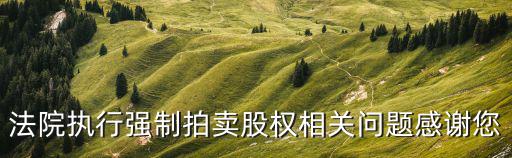 拍卖股票需要什么条件，什么叫股权拍卖